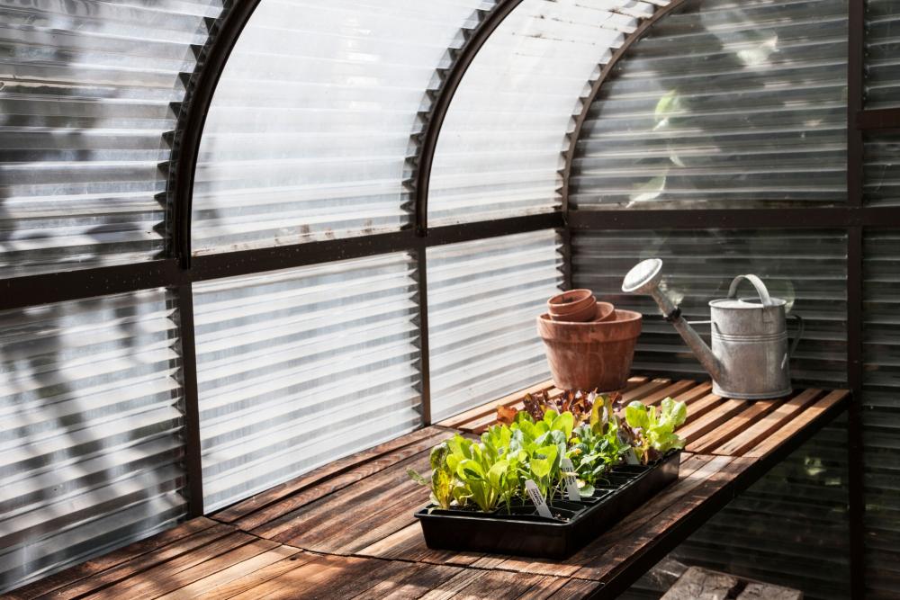 greenhouse interior twinwall polycarbonate