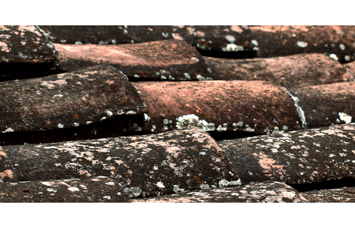 How to Clean Roof Tiles