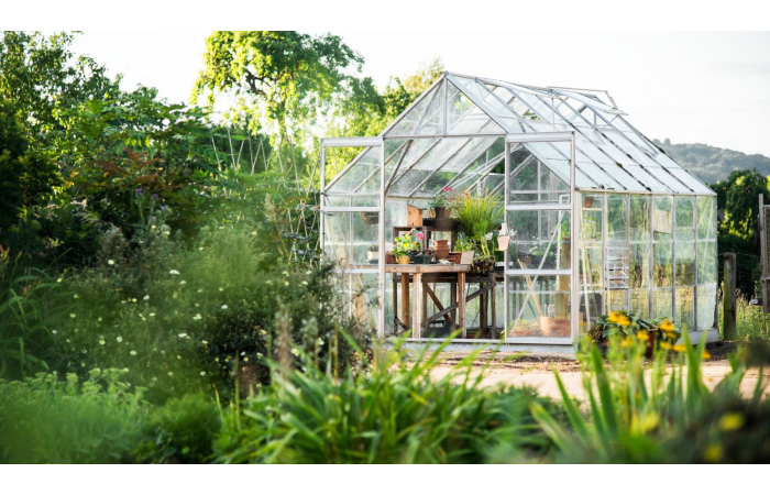 greenhouse in garden