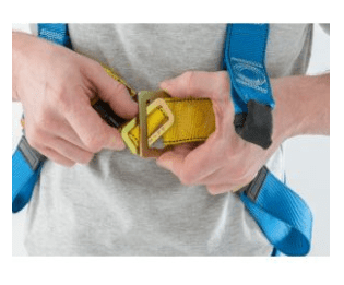 Werner Two Point Universal Safety Harness