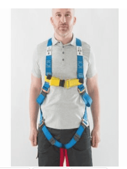 Werner Two Point Universal Safety Harness
