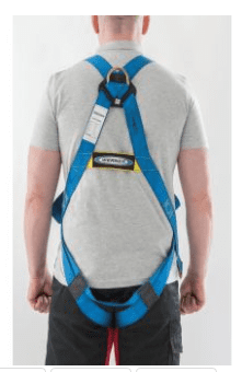 Werner Two Point Universal Safety Harness