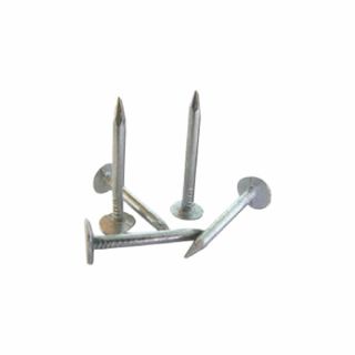 Tapco Galvanised Clout Nail - 1kg