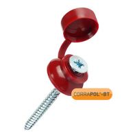 Corrapol-BT - Corrugated Bitumen Roof Sheet 60mm Screws with Cap - Red (Pack of 10) Corrapol-BT - Corrugated Bitumen Roof Sheet 60mm Screws with Cap - Red (Pack of 10)
