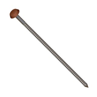 Soffit, Fascia & Capping Board Polytop Fixing Nails - 65mm - Rosewood (Pack of 100)