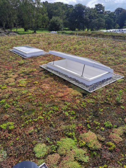 Mardome Trade Polycarbonate Rooflight Mardome Trade Polycarbonate Rooflight