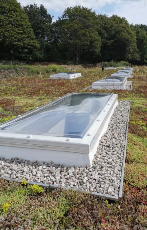 Mardome Trade Polycarbonate Rooflight Mardome Trade Polycarbonate Rooflight