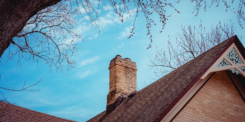 Chimney Cowls vs Bird Guards: Which is Right for You
