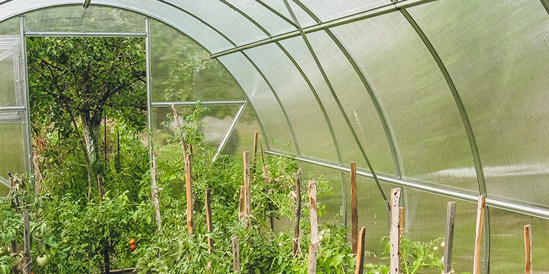 How to Clean Your Polycarbonate Roof