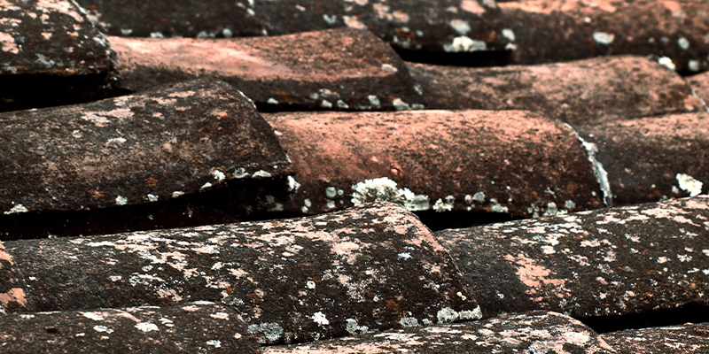 How to Clean Roof Tiles