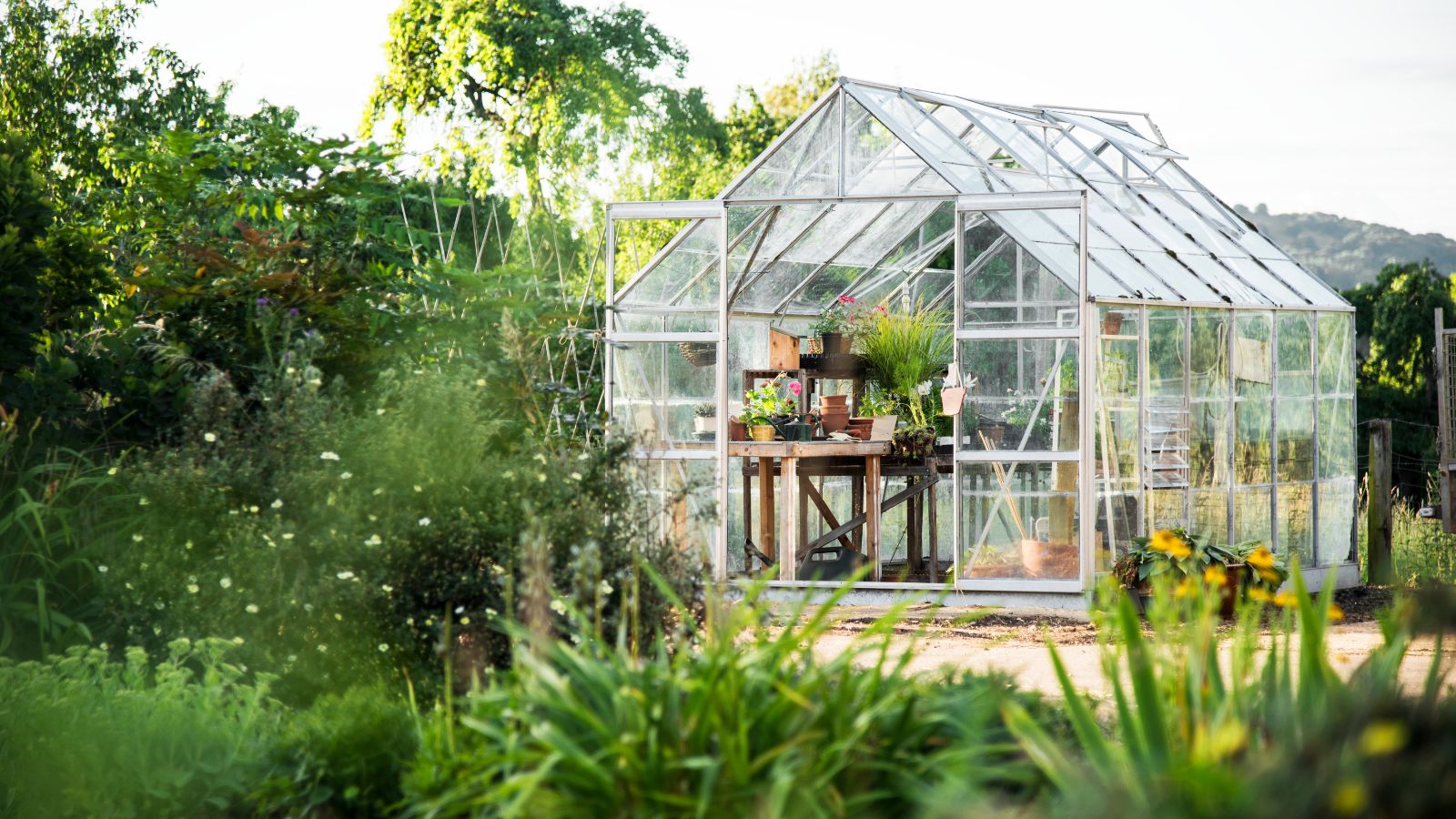 greenhouse in garden