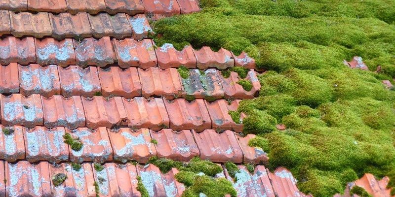 How to Remove Moss from Roof Tiles