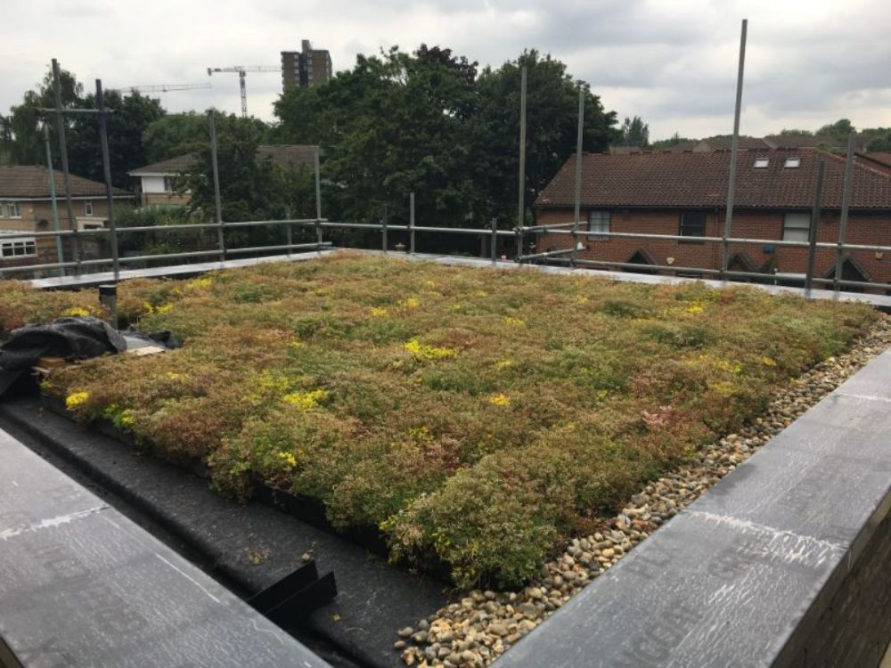 Wallbarn - M-Tray Wildflower Green Roof Kit with Geotextile Fleece Wallbarn - M-Tray Wildflower Green Roof Kit with Geotextile Fleece