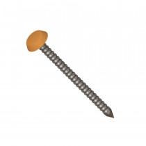 Soffit, Fascia & Capping Board Polytop Fixing Pins - 30mm - Irish Oak (Pack of 250)