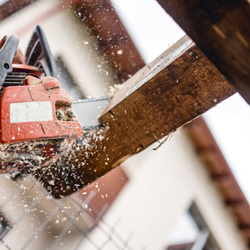 Timber Supplies