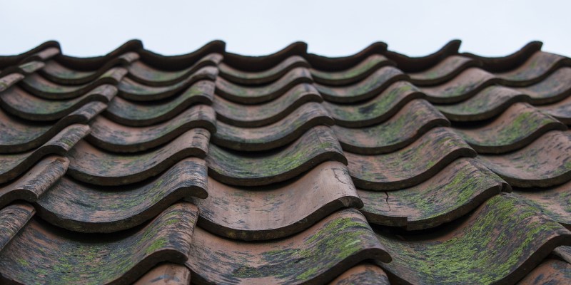 Cracked mossy concrete roof tiles