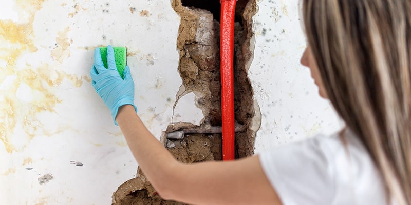 damp and cracked walls