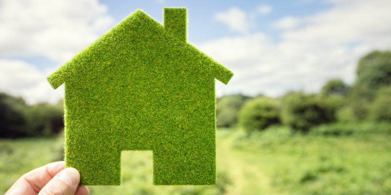 hand holding grass cut out of home in front of countryside background
