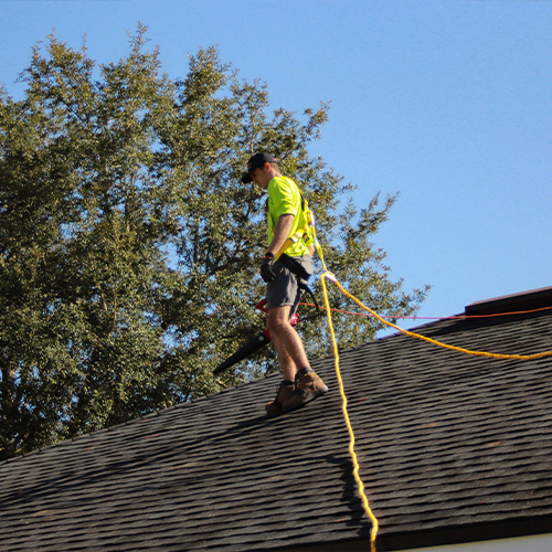 Roof Care & Maintenance